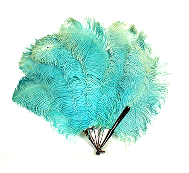 Fan of turquoise coloured ostrich feathers